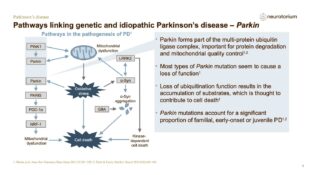 Parkinsons Disease – Neurobiology and Aetiology – slide 33